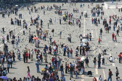 markusplatz-33-tauben.jpg