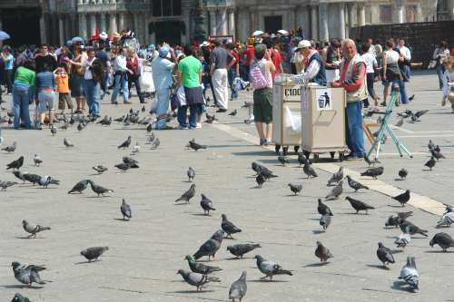 markusplatz-39-futter.jpg