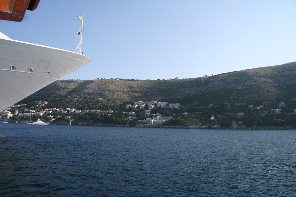 IMG_5029.jpg