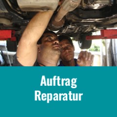 Hoppla, hier fehlt ein Bild