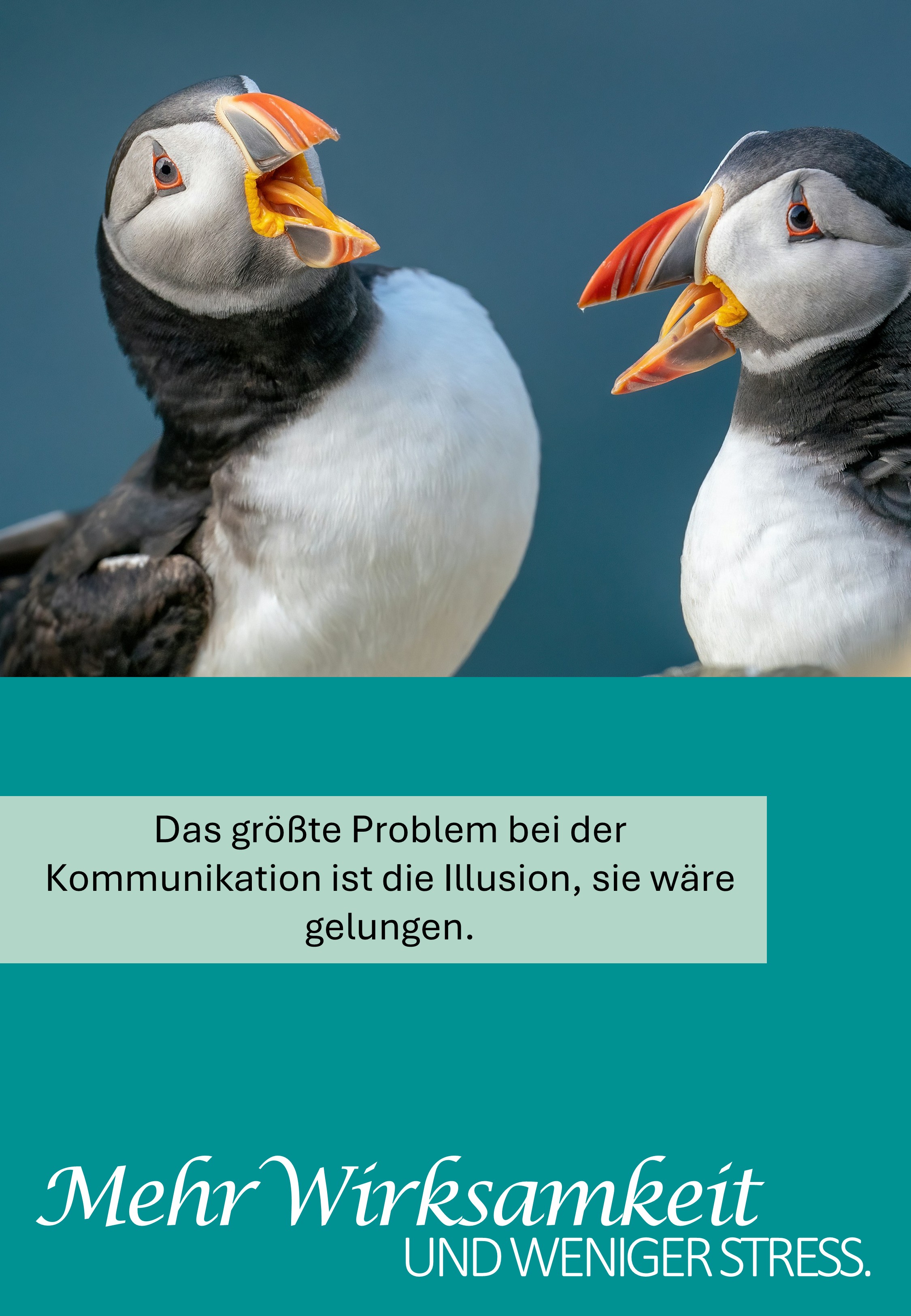 Hoppla, hier fehlt ein Bild