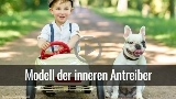 Innere-Antreiber-holub_or_at